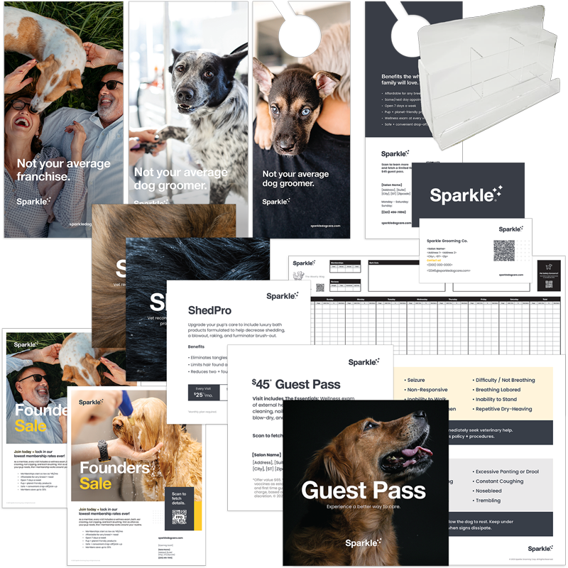 sparkle grooming launch kit