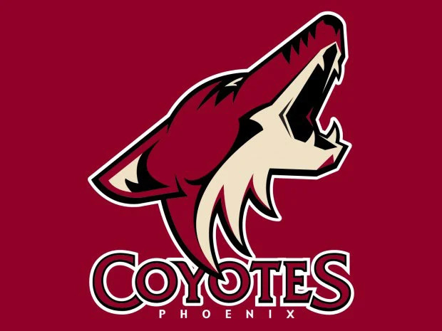 Coyotes Host Benefit Game for Hotshots' Families